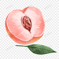 蘑菇17.㏄官方版官方版APP应用